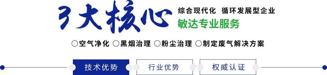 国产大庆骚逼敏达环保科技（嘉兴）有限公司